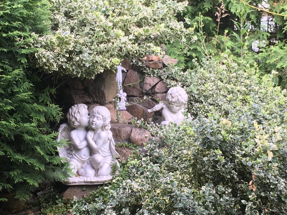 Cracow. Villa Cherubin Garden Krakow Ngoại thất bức ảnh